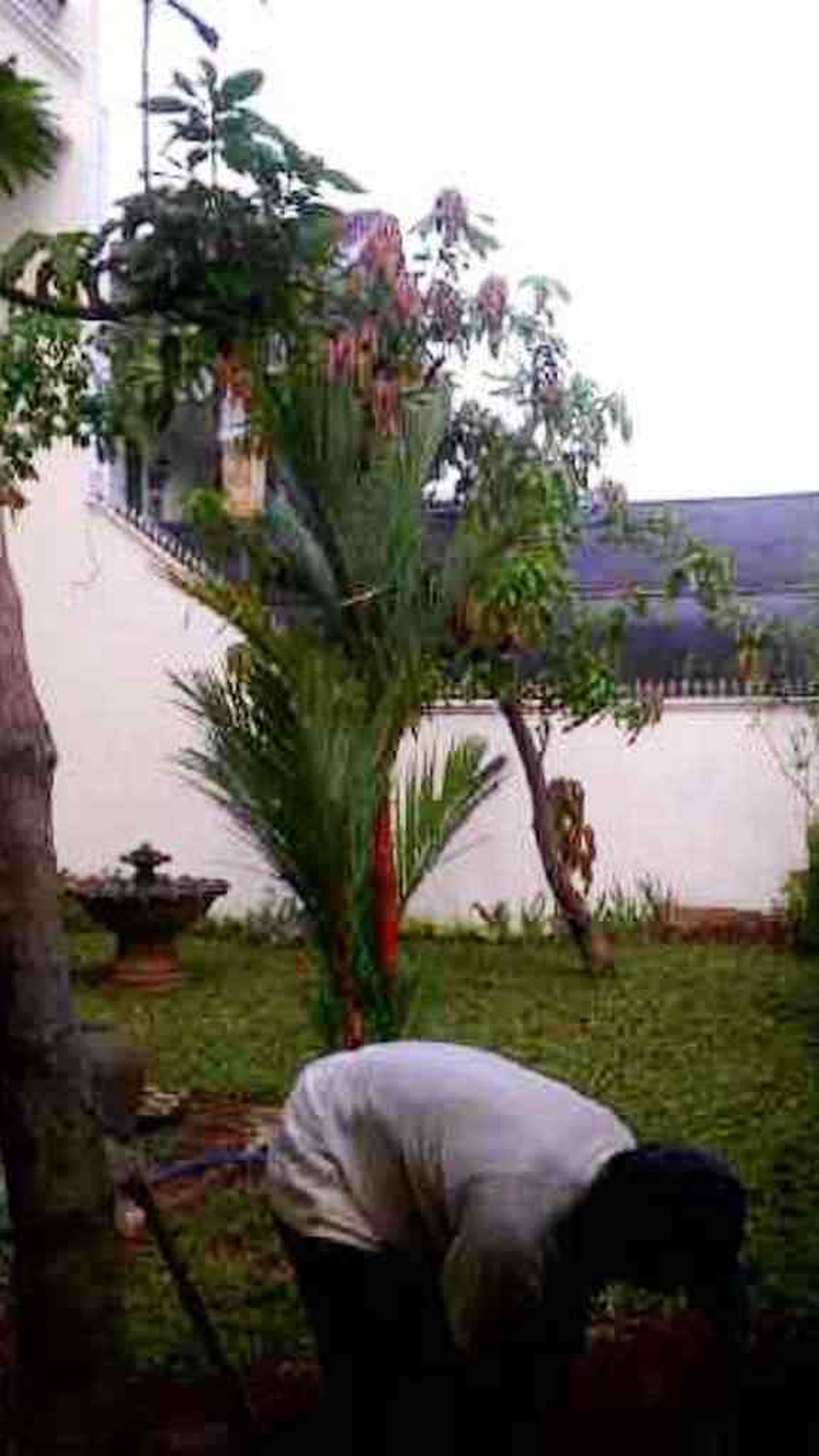 Rumah pinggir jalan,siap huni,lokasi oke di Kesehatan Bintaro Jakarta Selatan