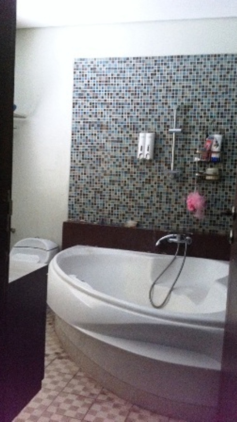 For Rent Rumah Mewah,Minimalis Dalam Perumahan Bintaro Sektor 9