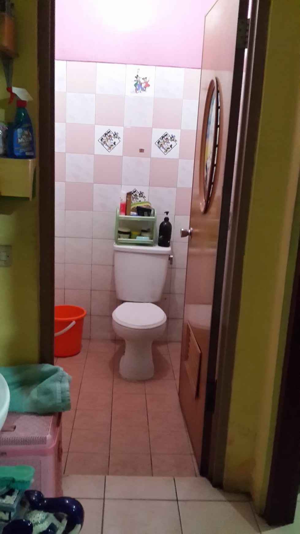 Dijual Rumah Taman Permata Parahyangan Raya - Lippo Karawaci