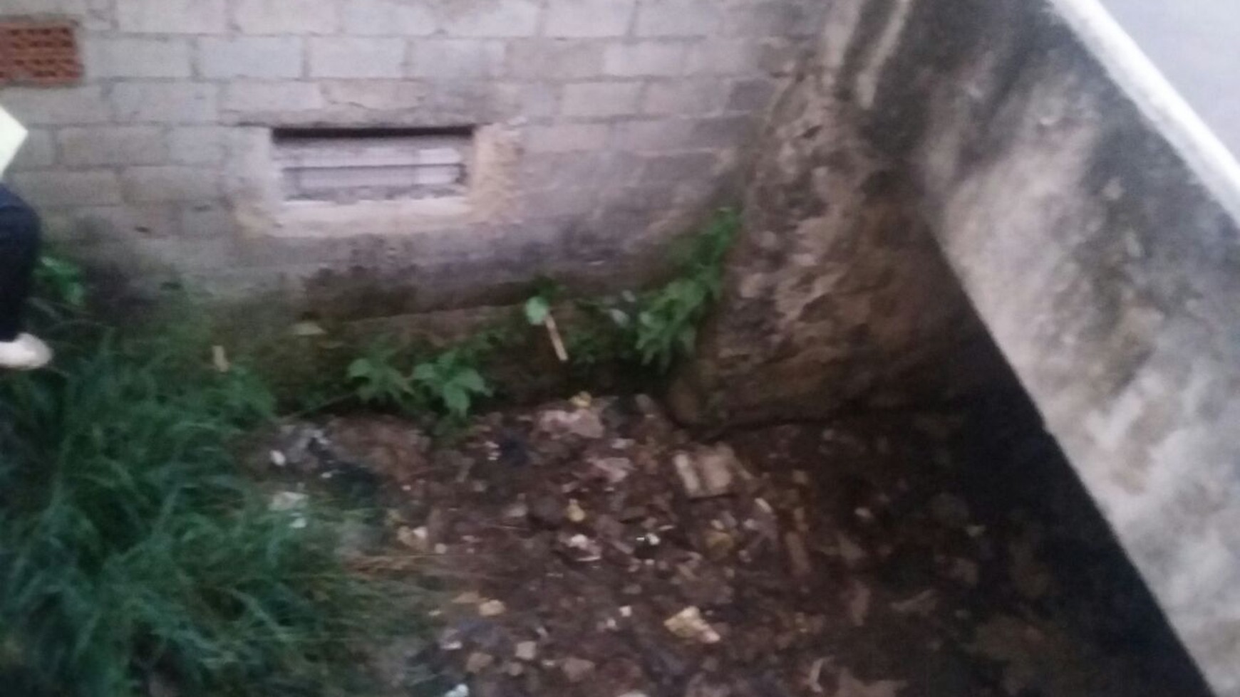 Kiios dan Lahan di Pondok Aren