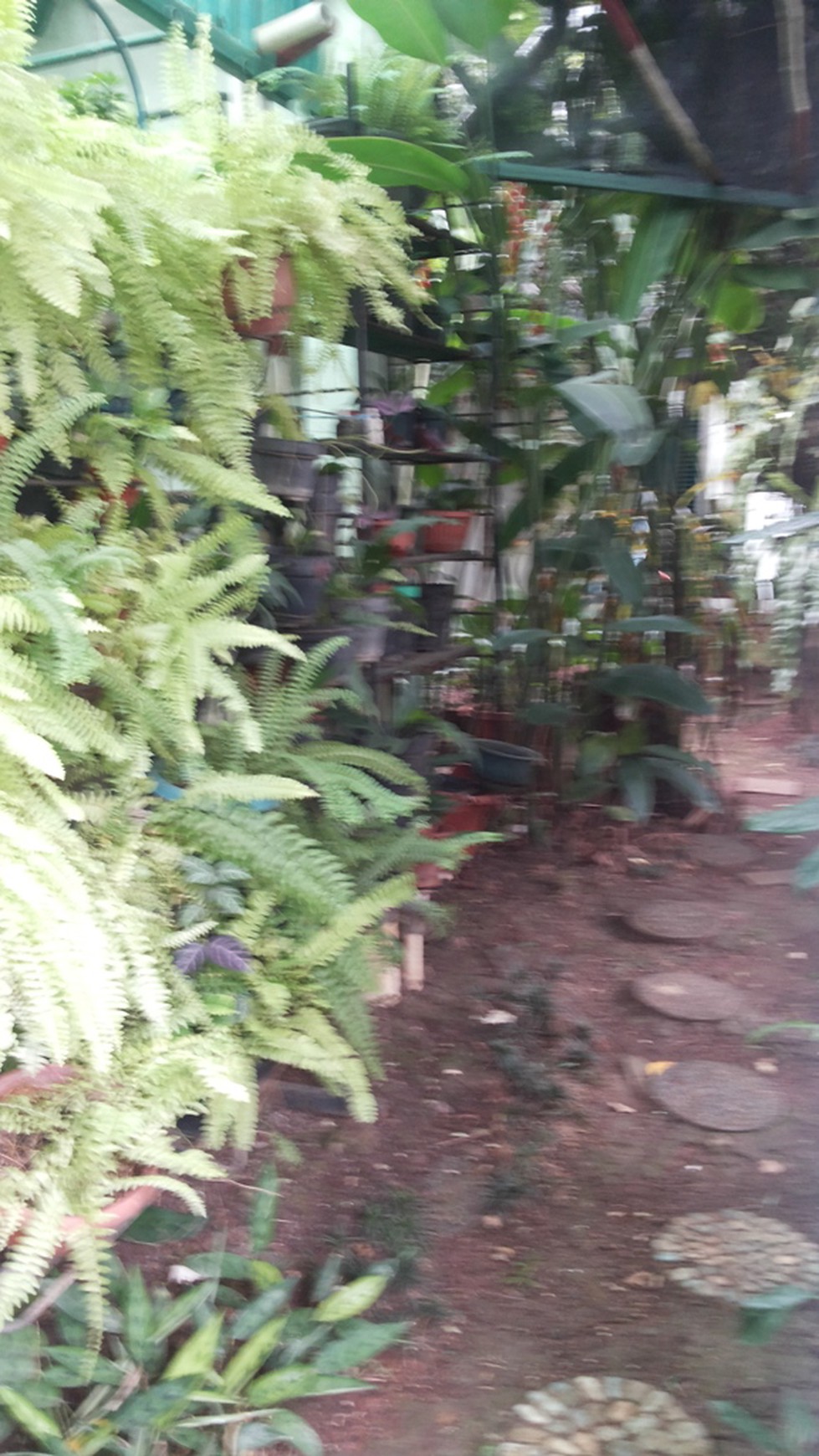 Rumah Nyaman & aman di BSD . dekat dg sekolah, pasar modern, tmpt ibadah, mal