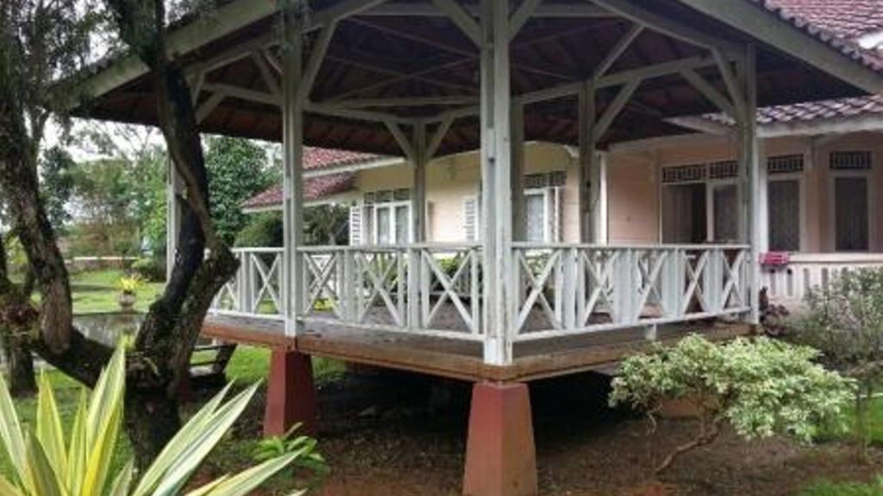 Villa Bagus,halaman luas di Cimacan Puncak