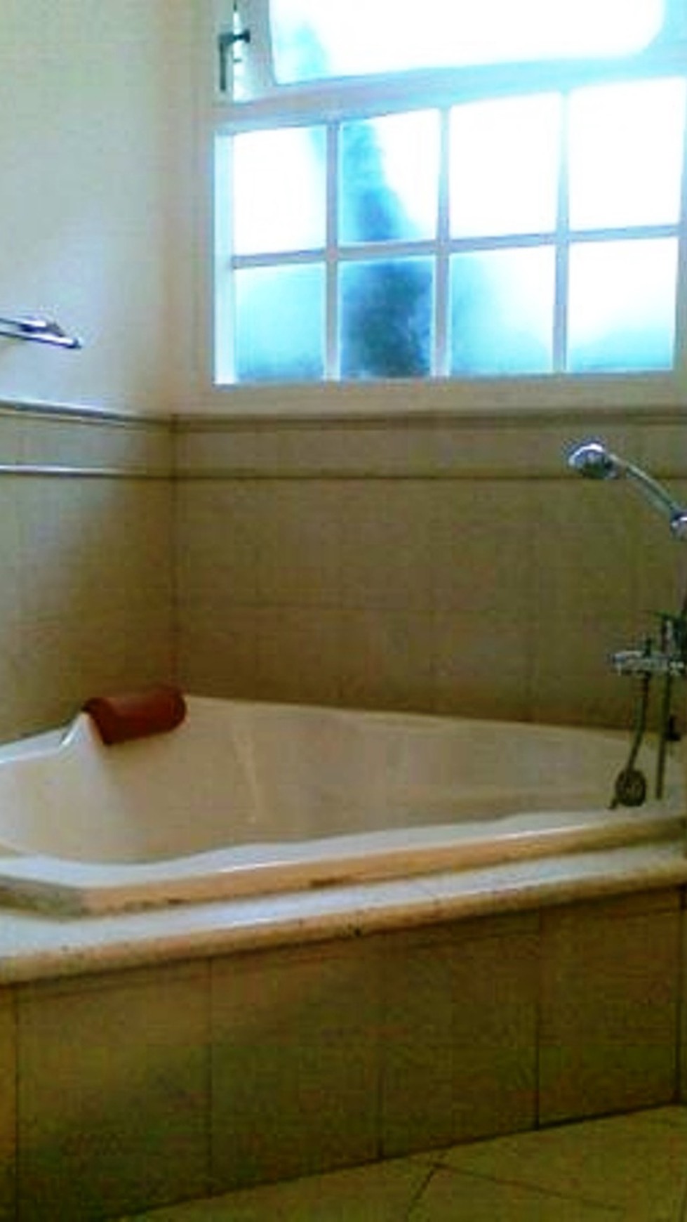 Rumah Mewah,halaman luas,s.pool di cipete