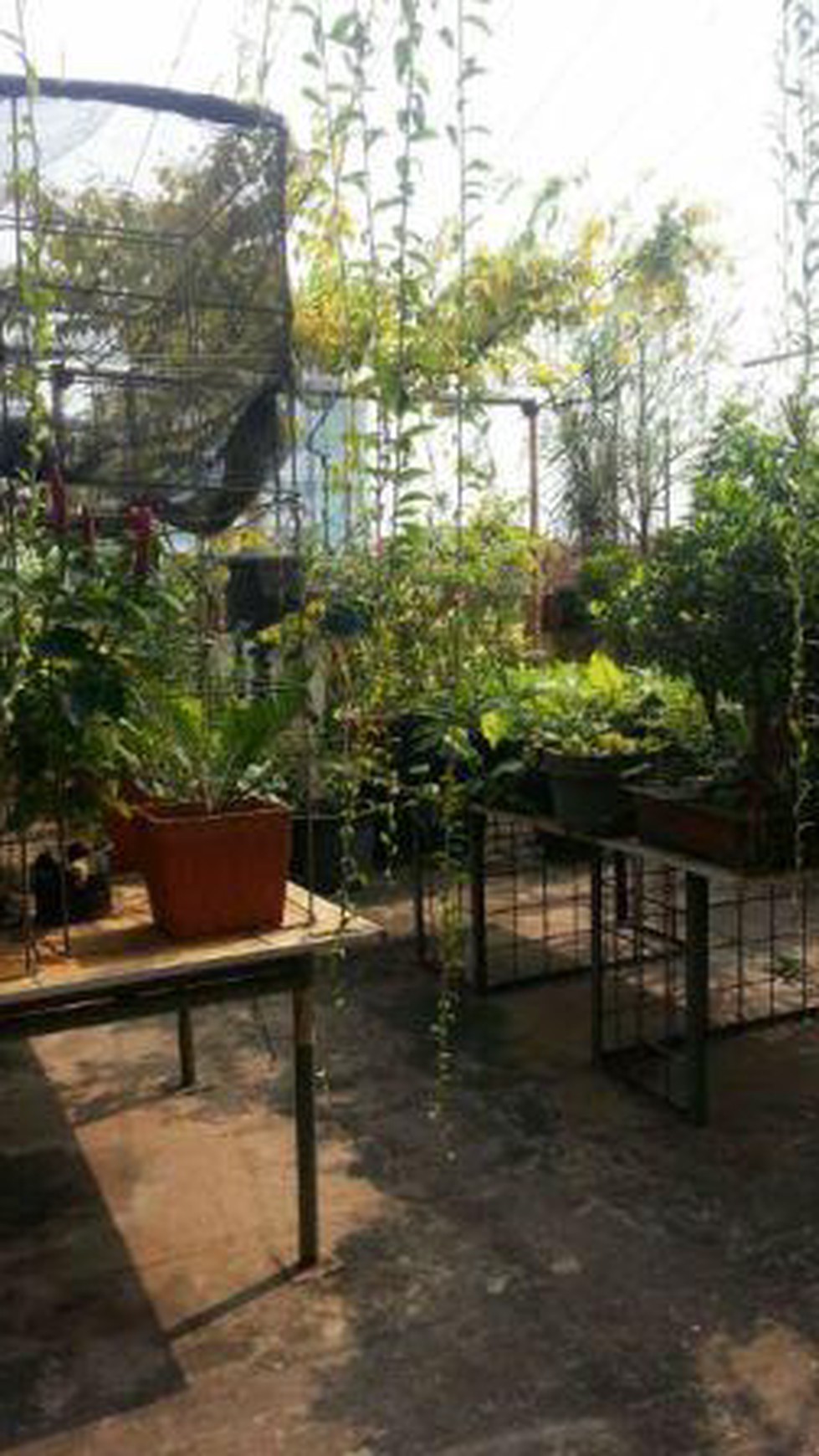 Bangunan Office Sangat Strategis Di Cideng Timur #EA