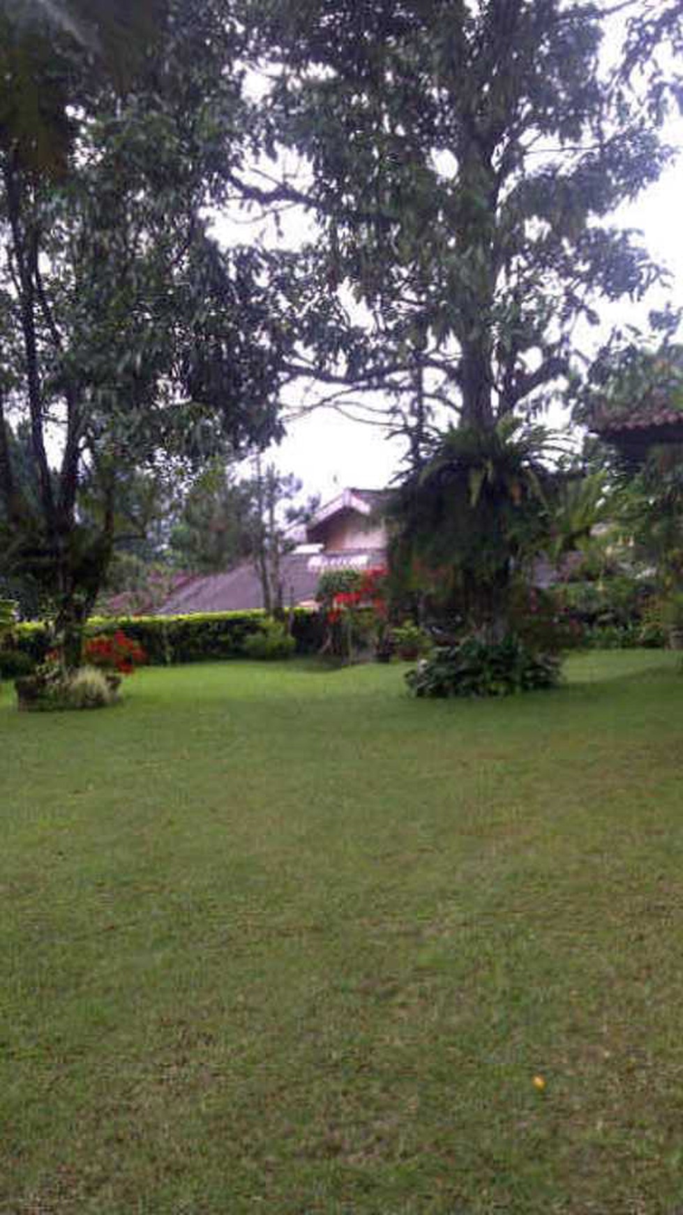 Dijual Villa di Bogor