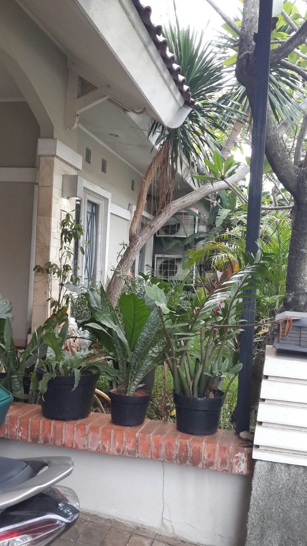 Rumah siap huni di Sektor 9 Bintaro Jaya