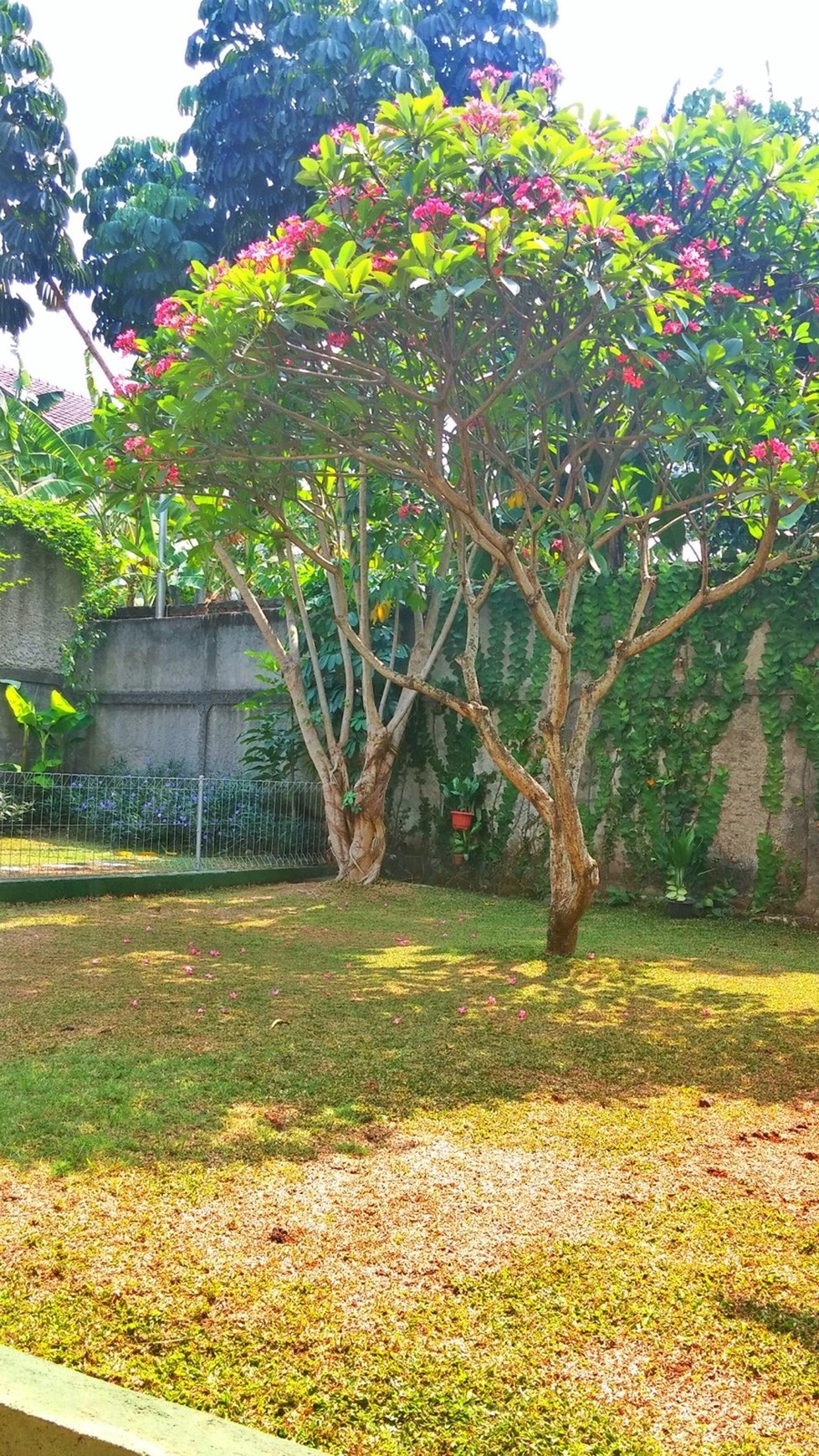 Rumah di CInere..For Sale,,