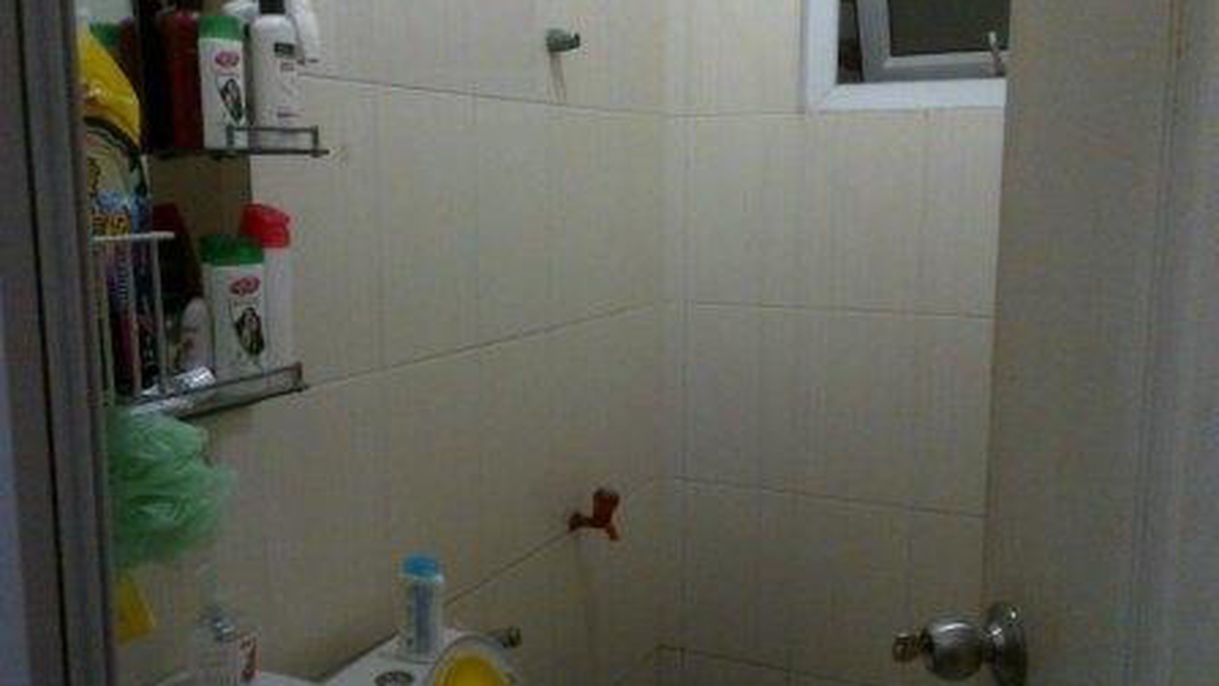 Sale Daerah Bintaro Rumah Hadap Timur dan Depan Taman #ER