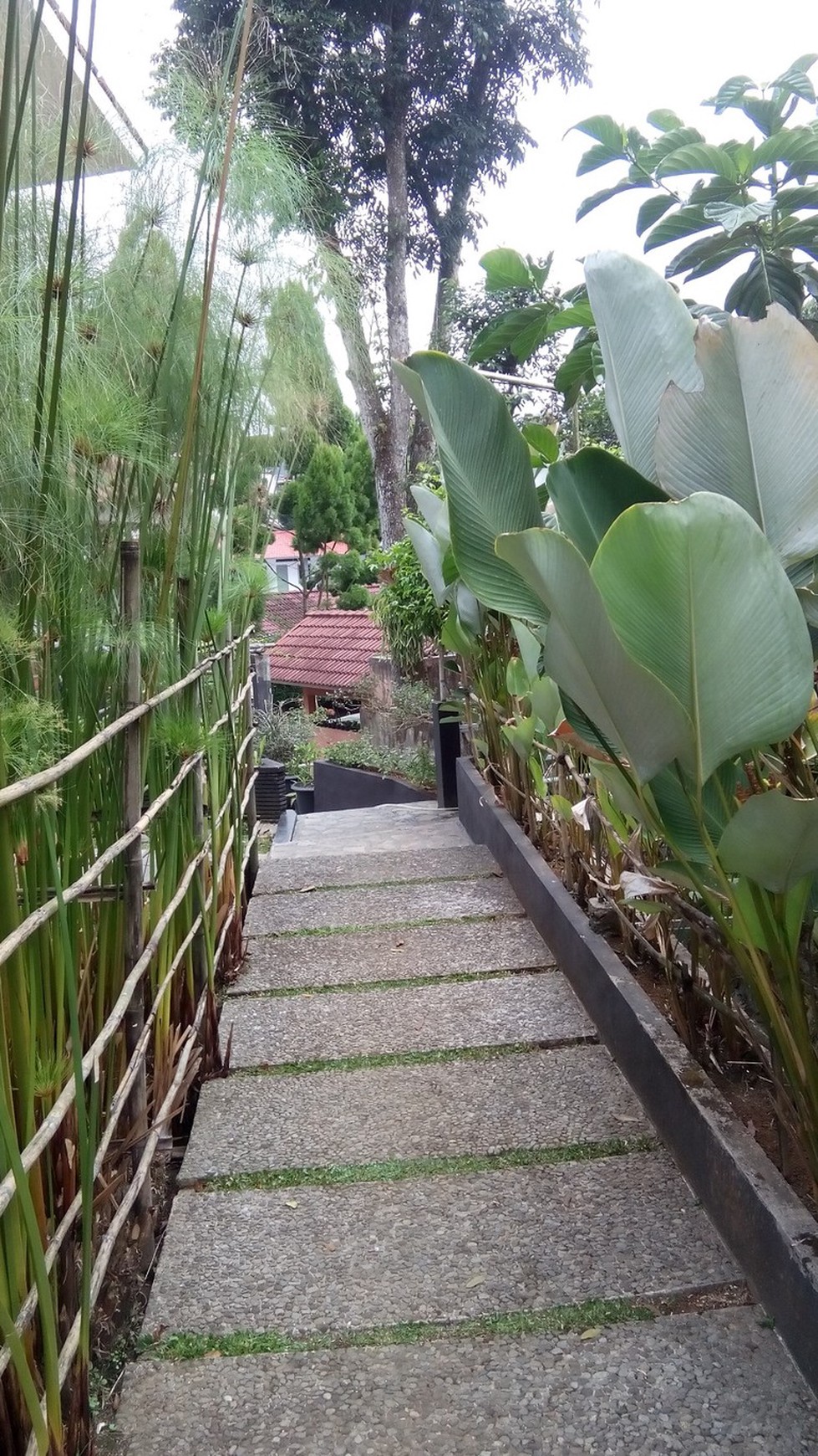 Dijual Villa Cipanas Luas Bagus