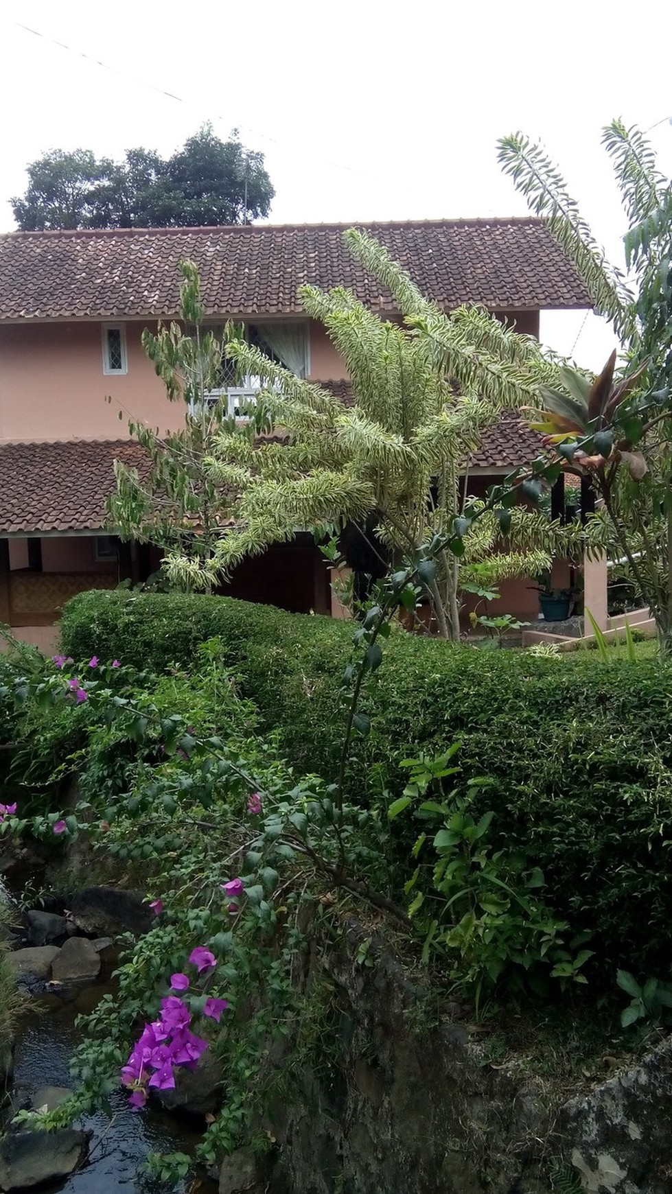 Dijual Villa Cipanas Luas Bagus