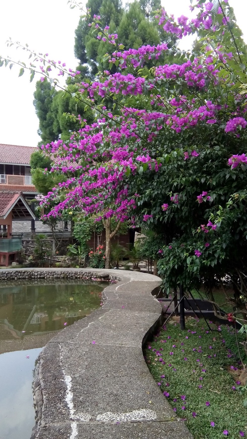 Dijual Villa Cipanas Luas Bagus