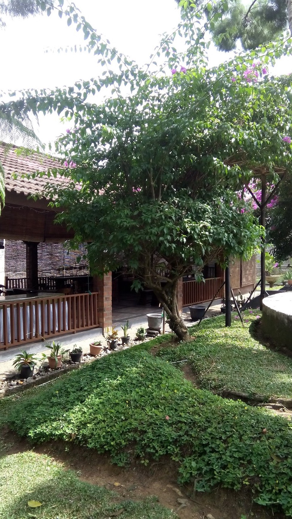 Dijual Villa Cipanas Luas Bagus