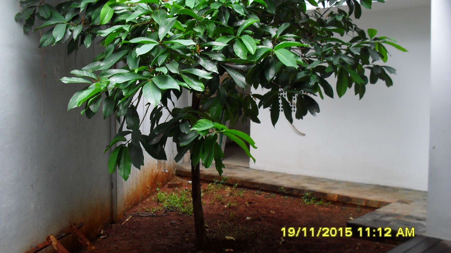 Rumah Dijual di Kebayoran Baru.. Brand New..Pool