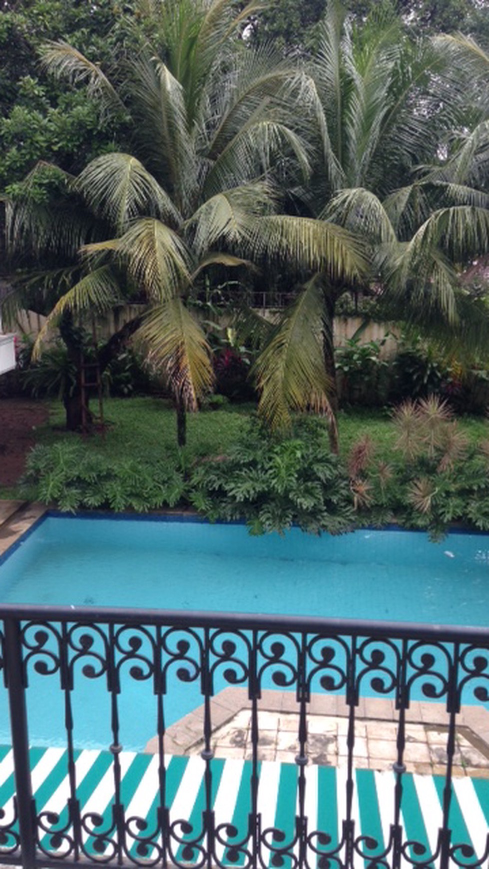 Disewakan Rumah mewah asri dan nyaman, lokasi strategis - Pejaten Barat