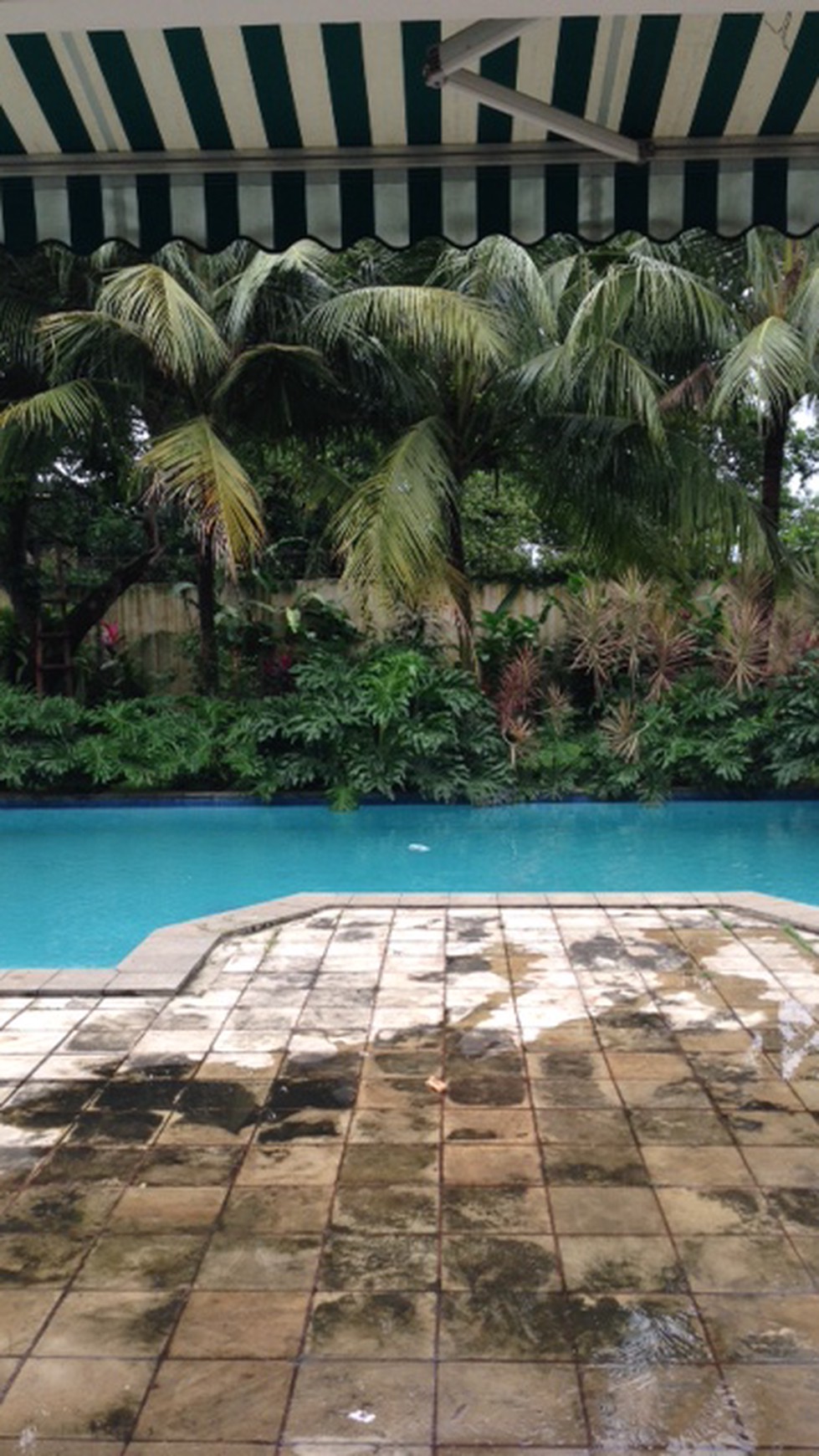 Disewakan Rumah mewah asri dan nyaman, lokasi strategis - Pejaten Barat