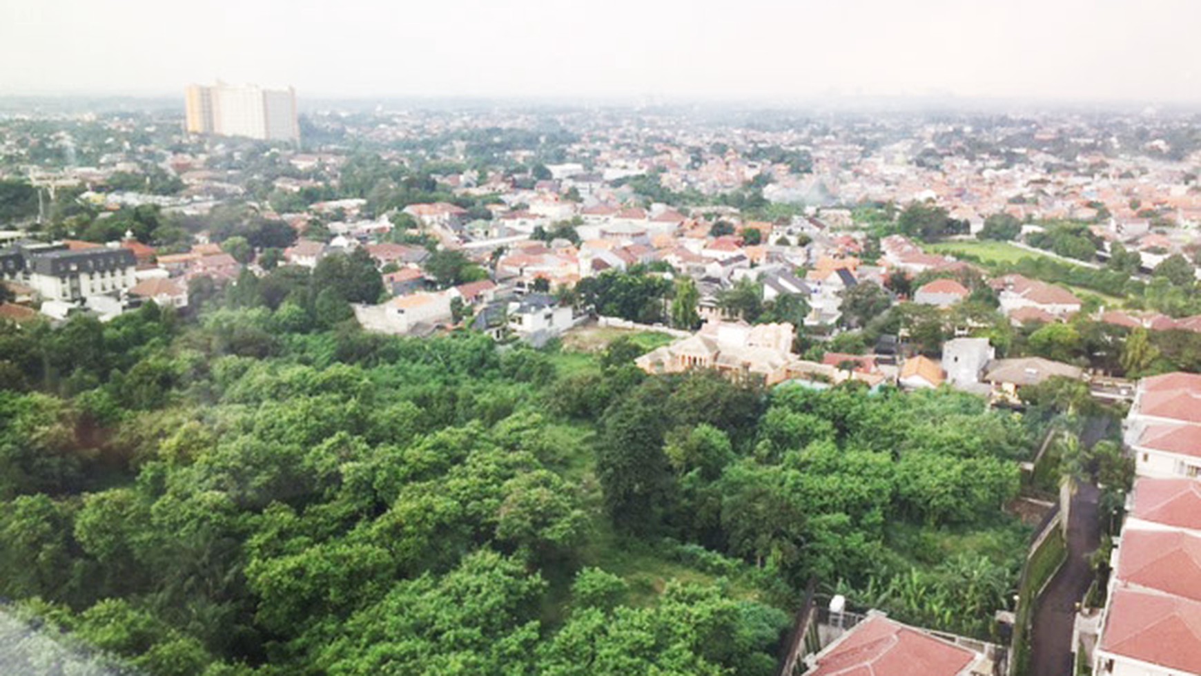Plaza Oleos