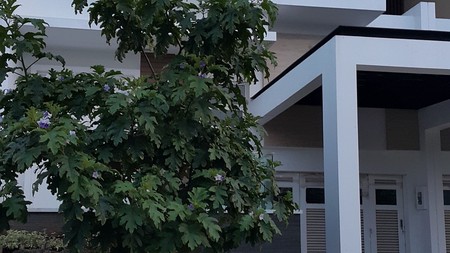 Rumah Dijual!!!