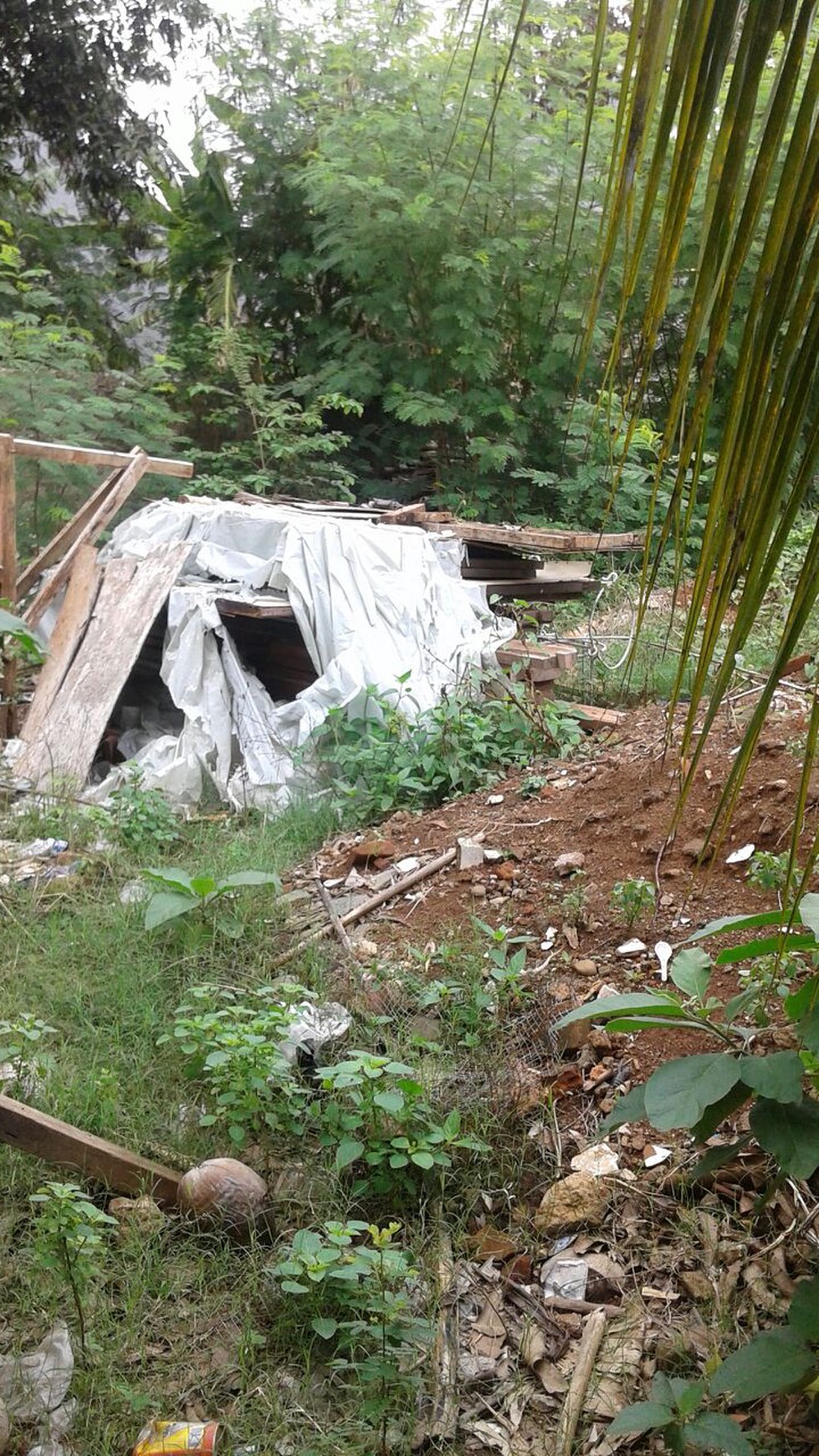 Rumah Nyaman dan Siap Huni di Kawasan Bintaro Residence