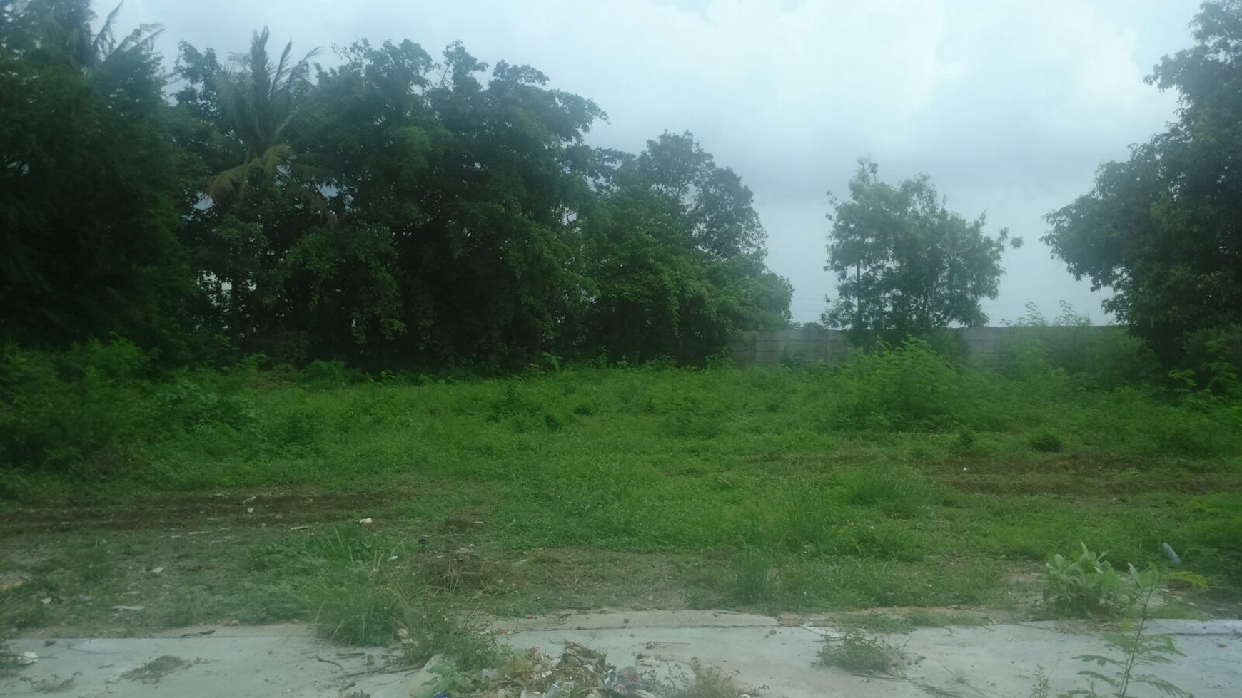 Disewakan Tanah Pinggir Jalan Cilegon