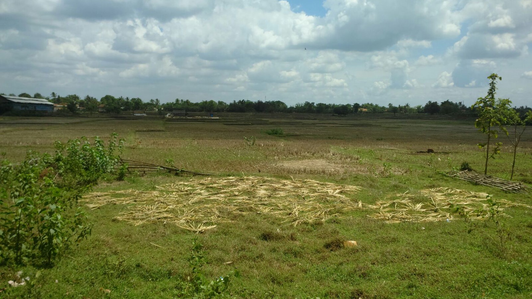 Dijual Tanah Balaraja Ds. Kemuning - Balaraja