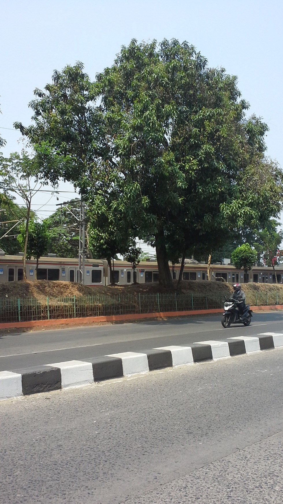 Lotus Residence Hunian Investasi Terbaik di Jakarta Selatan