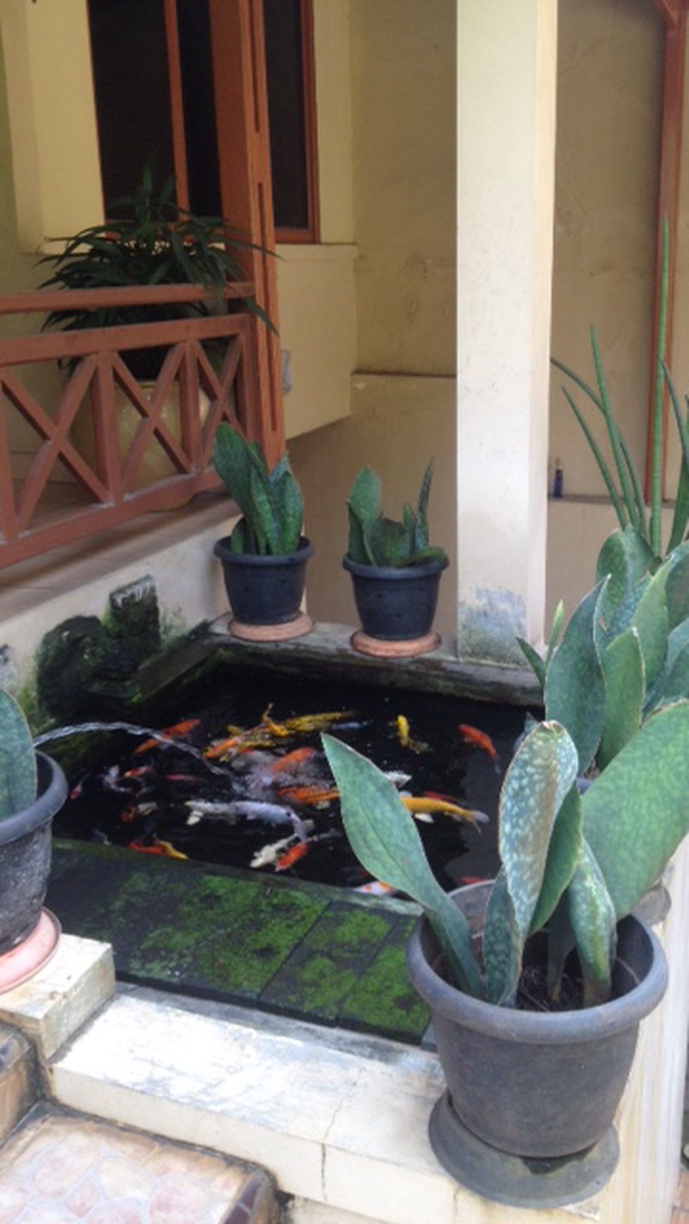 Dijual Rumah Nyaman dan Siap Huni