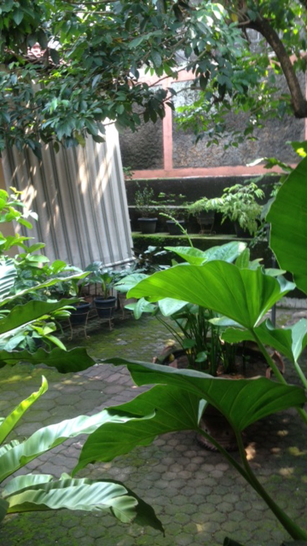 Dijual Rumah Nyaman dan Siap Huni