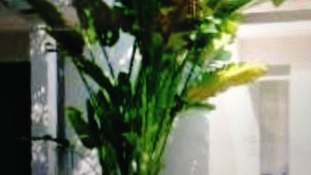 Rumah dalam cluster hook nyaman dan strategis Bintaro 9