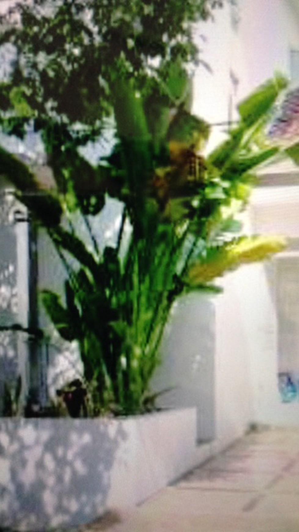 Rumah dalam cluster hook nyaman dan strategis Bintaro 9