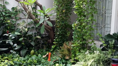 Rumah cantik di Bintaro 5