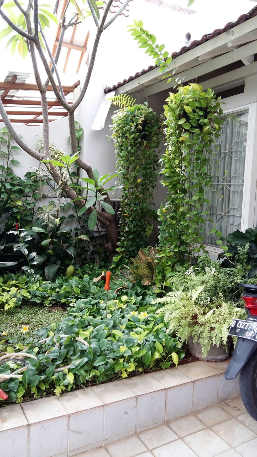 Rumah cantik di Bintaro 5