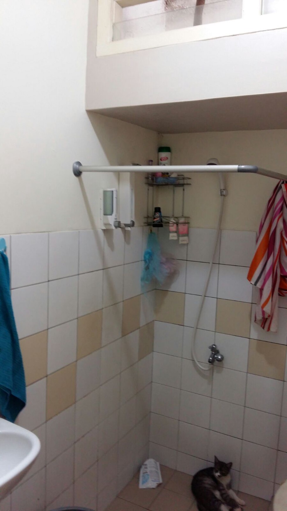 Rumah cantik di Bintaro 5