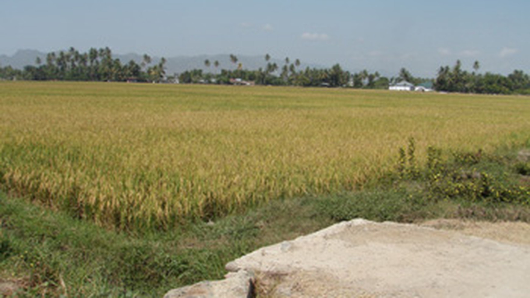 Kavling 30.000m2 Dekat Superblok Gorontalo