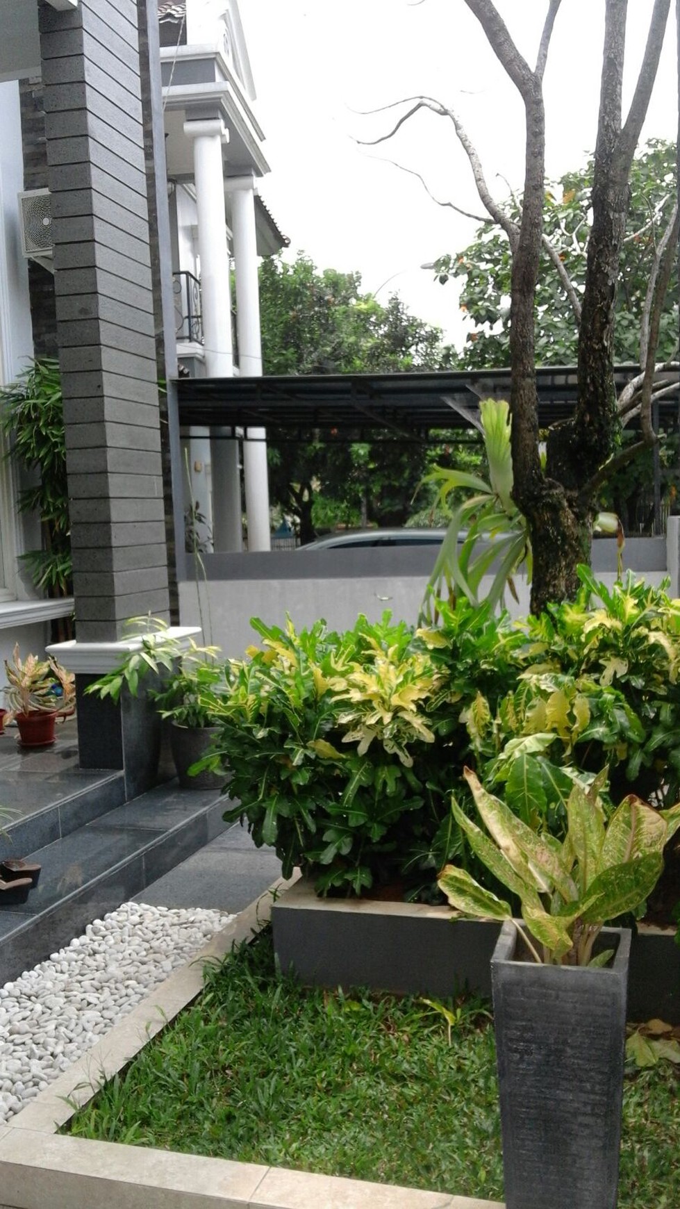 Hunian Baru Bergaya Minimalis Di BSD