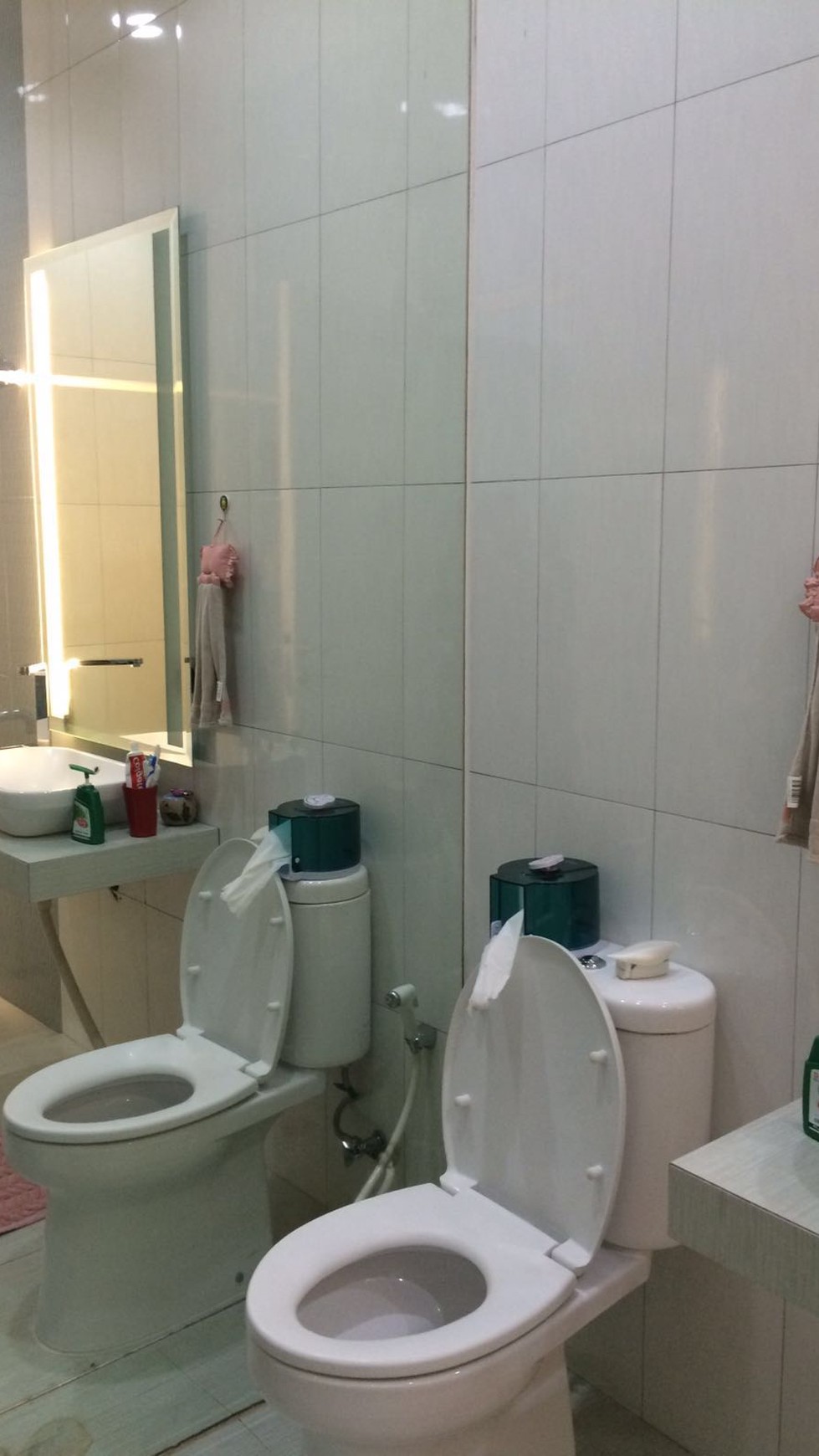 Dijual Rumah Taman Holandia - Lippo Karawaci