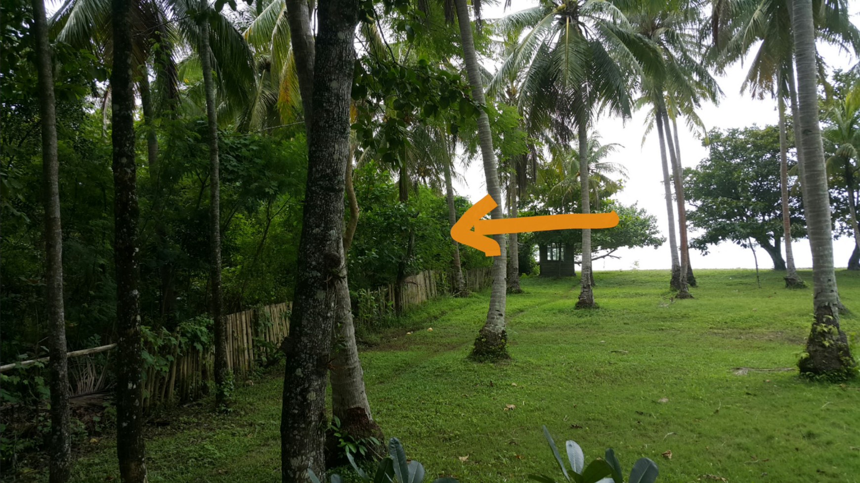 Dijual Tanah di Kawasan Pariwisata Tanjung Lesung - Anyer, Serang