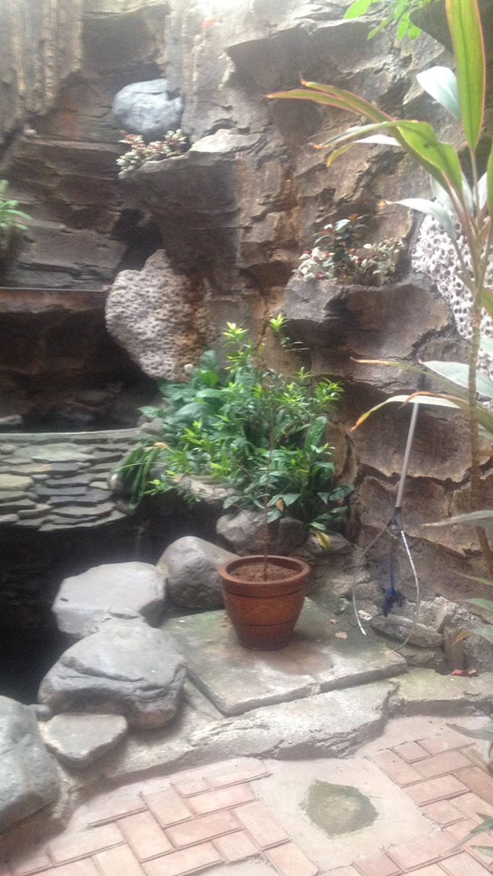 Dijual Rumah Bagus, Lokasi Strategis