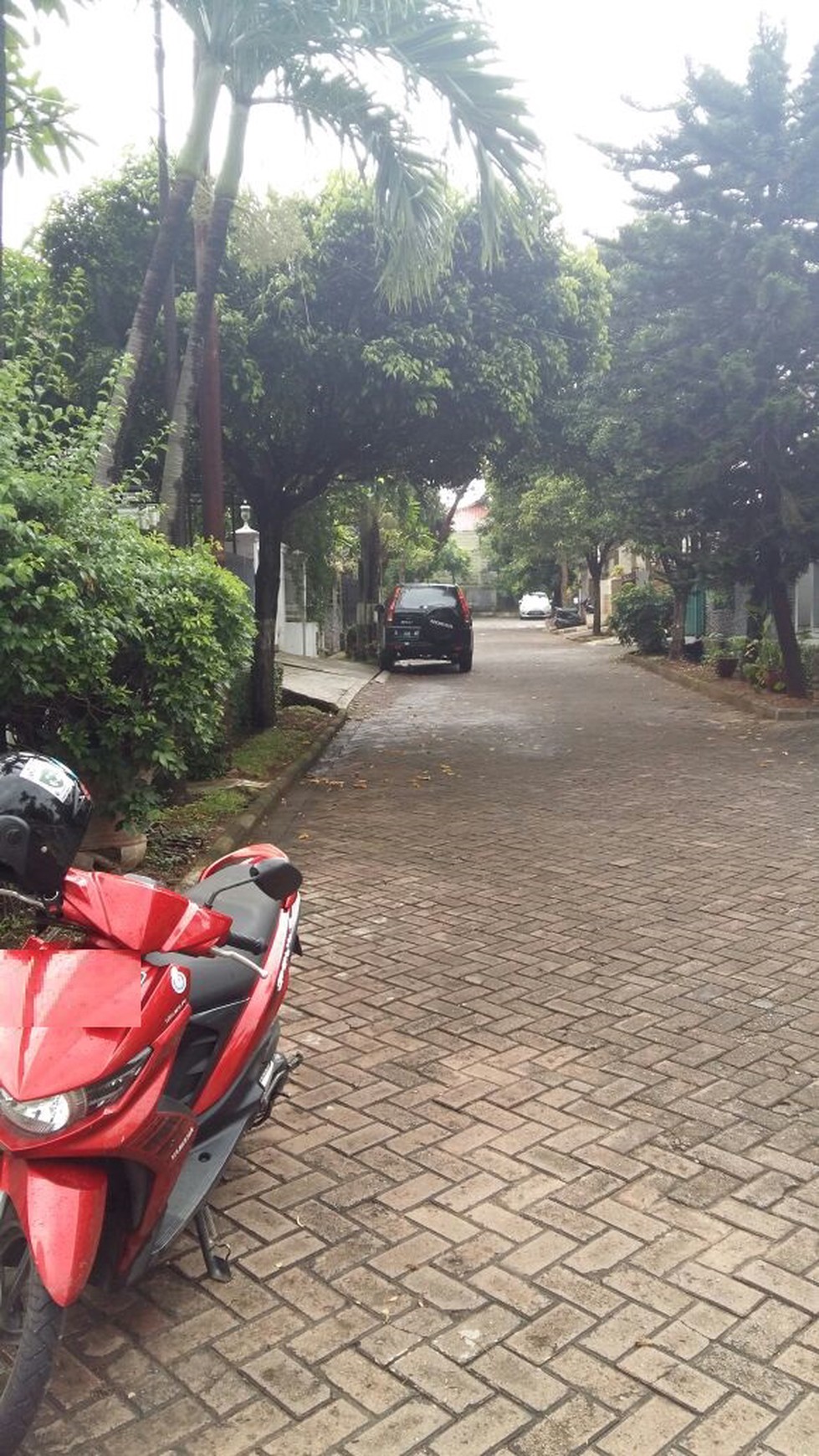 Rumah Nyaman Dalam Perumahan Bintaro Sektor 3