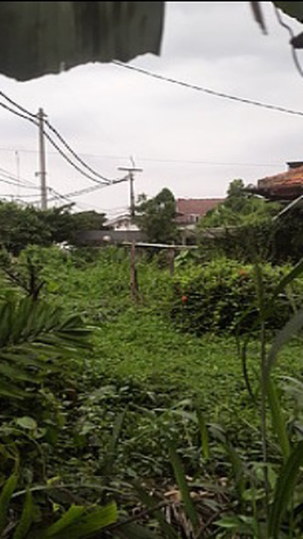 Rumah Murah Hitung Tanah di Lokasi Hook Cinere
