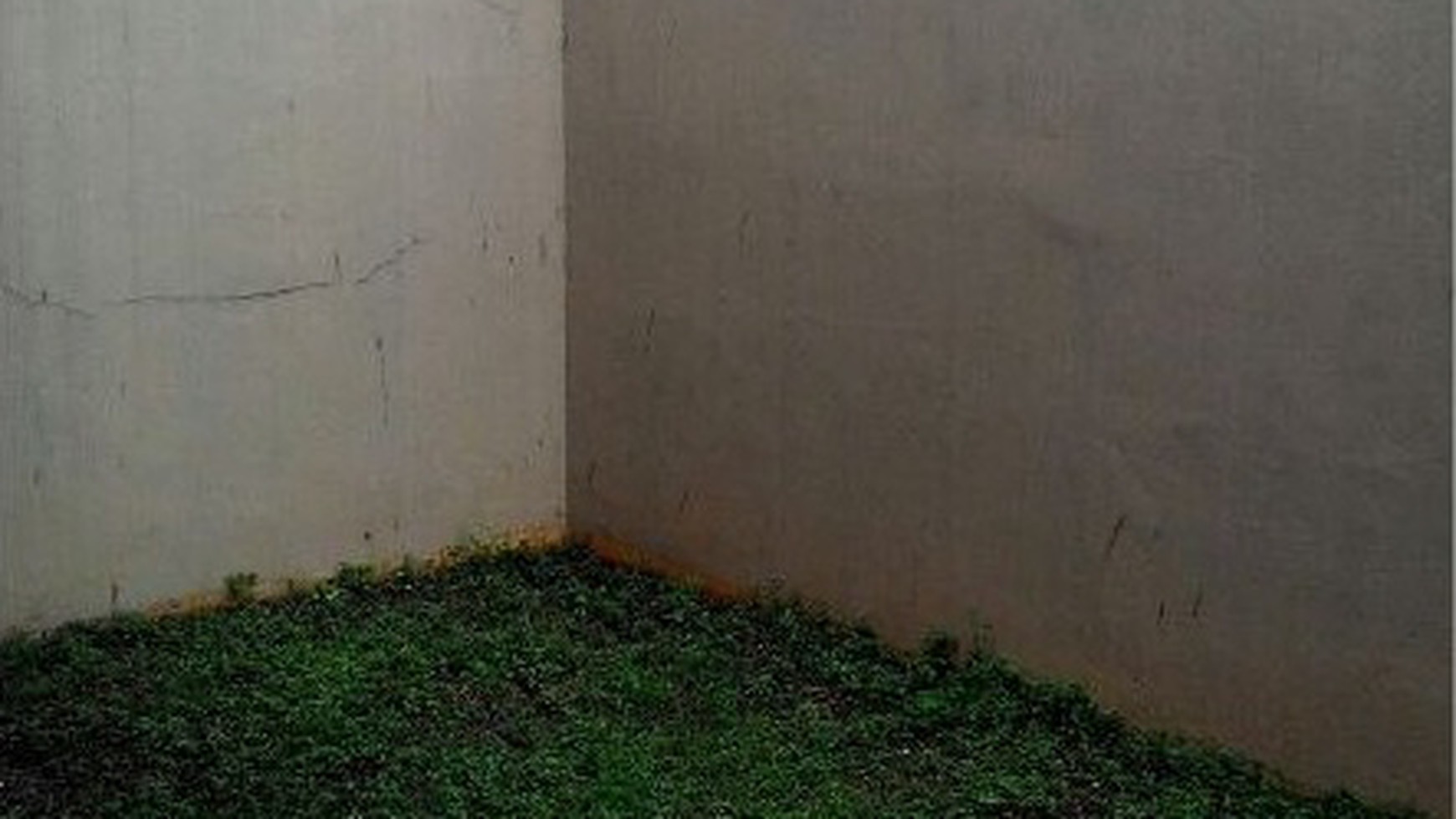 Dijual Rumah Bagus di Sawangan