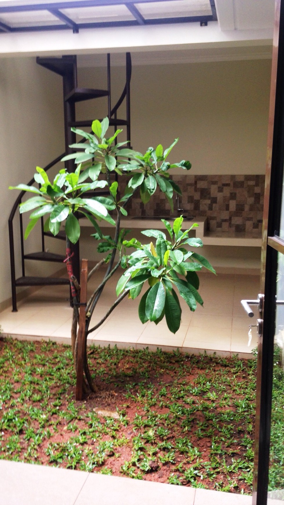 Hot sale@cluster discovery, Bintaro