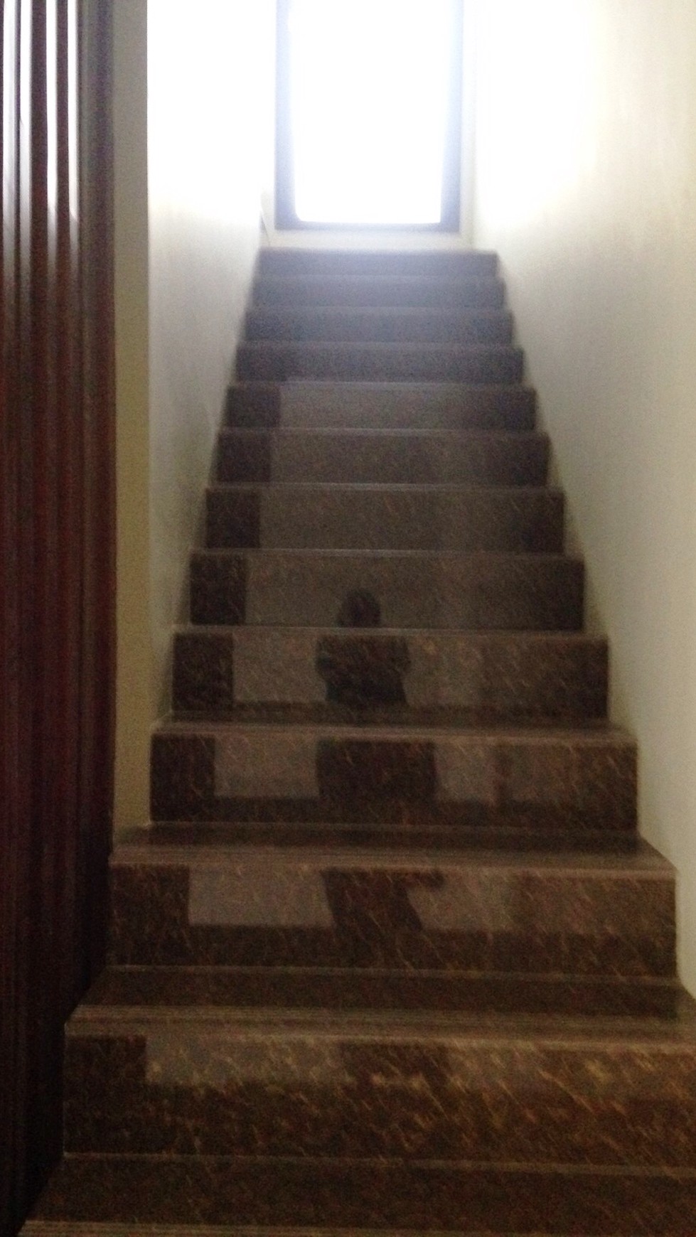 Hot sale@cluster discovery, Bintaro