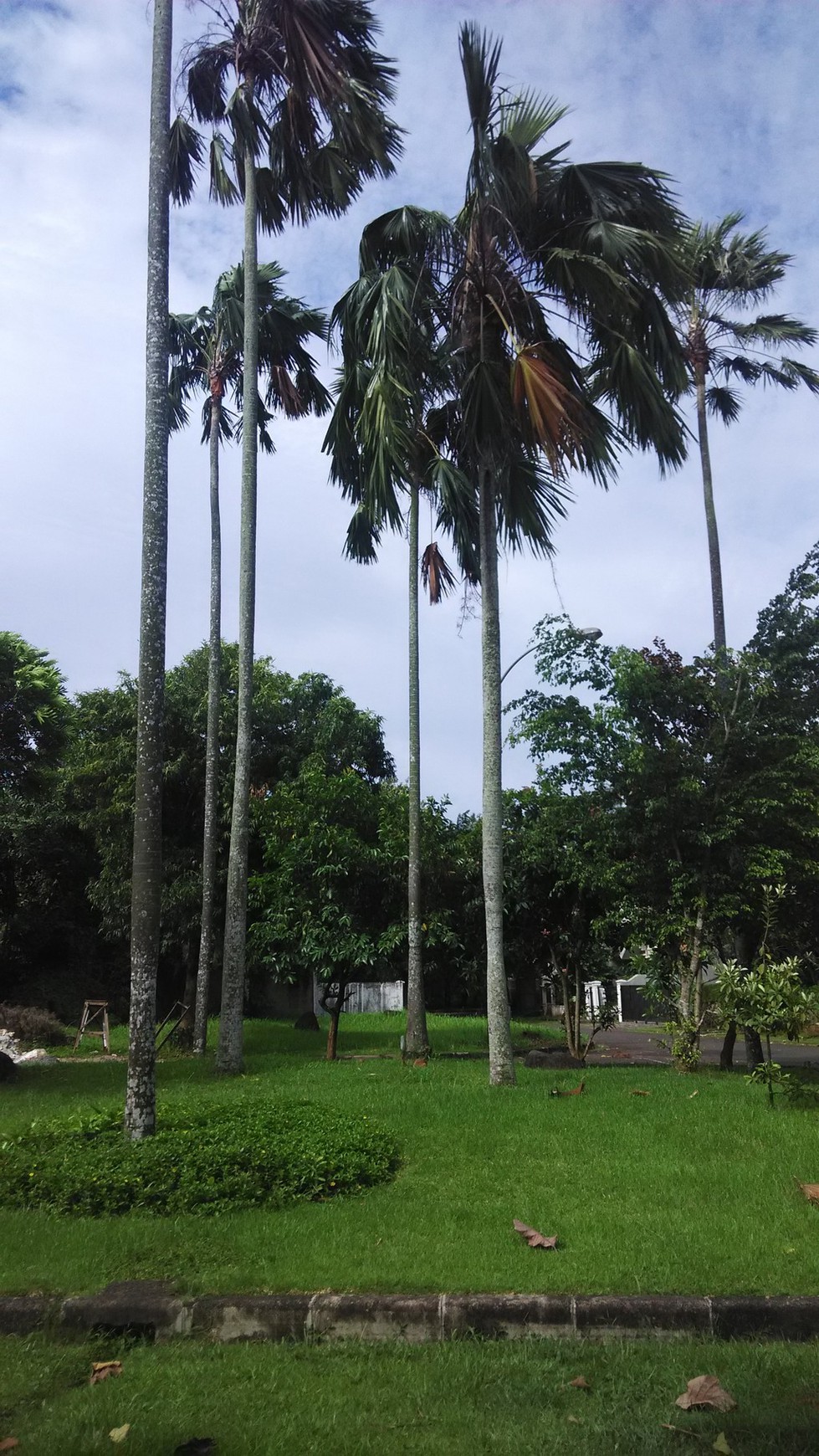 Kavling Mewah Giri Loka