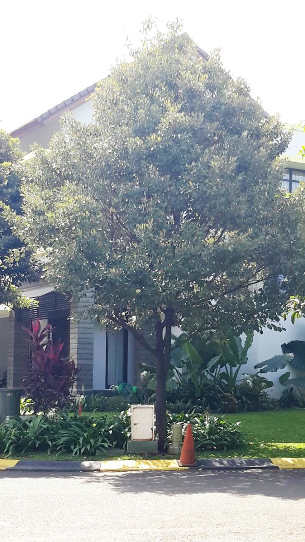 Rumah Nyaman dan Siap Huni di Kawasan Cluster Emerald, Bintaro