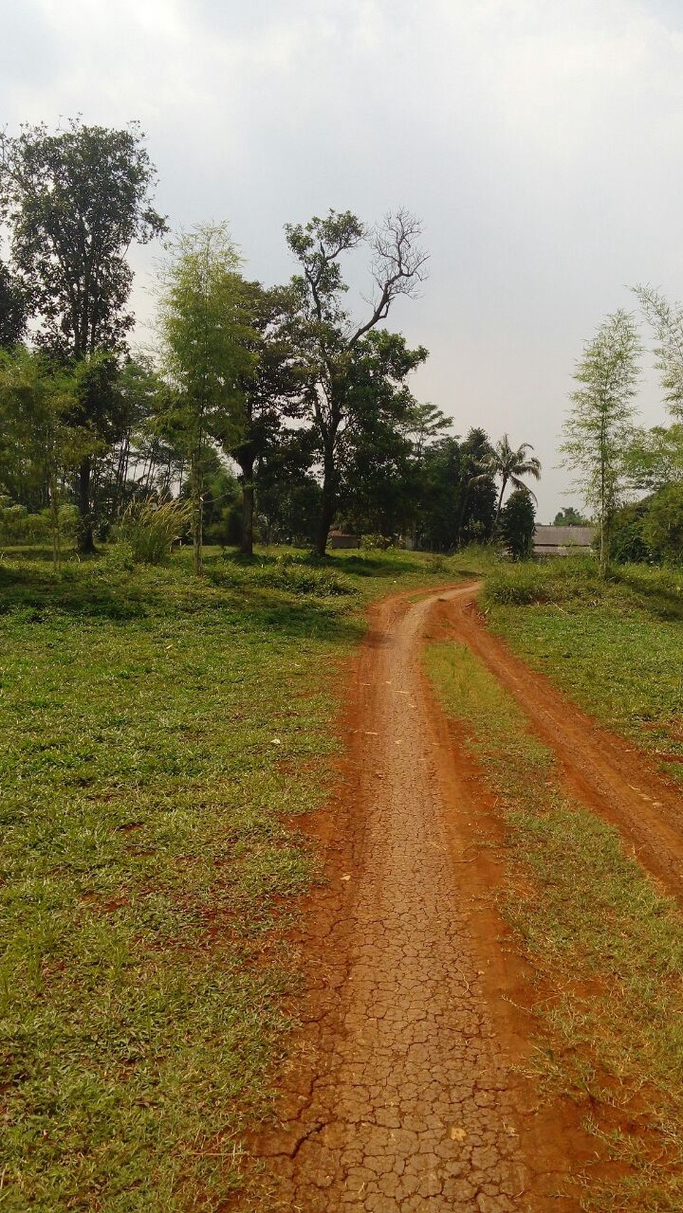 Di Jual kavling, kawasan Bogor Jawa Barat