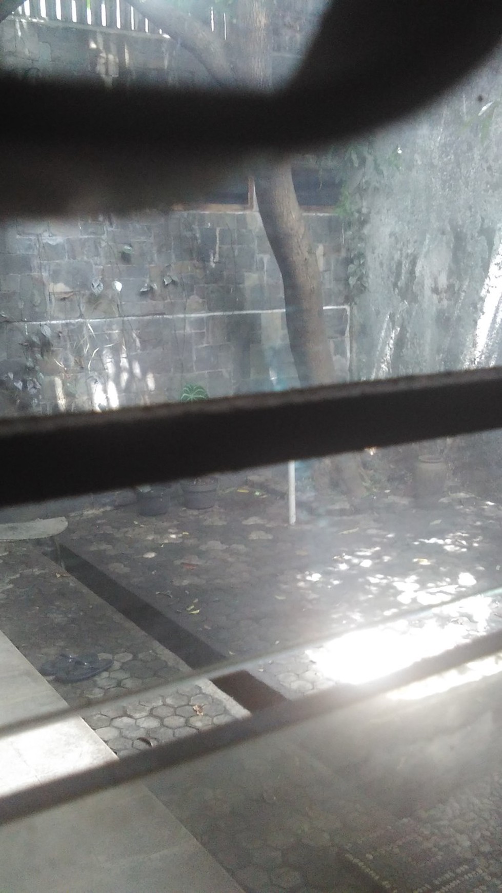 rumah dengan halaman luas