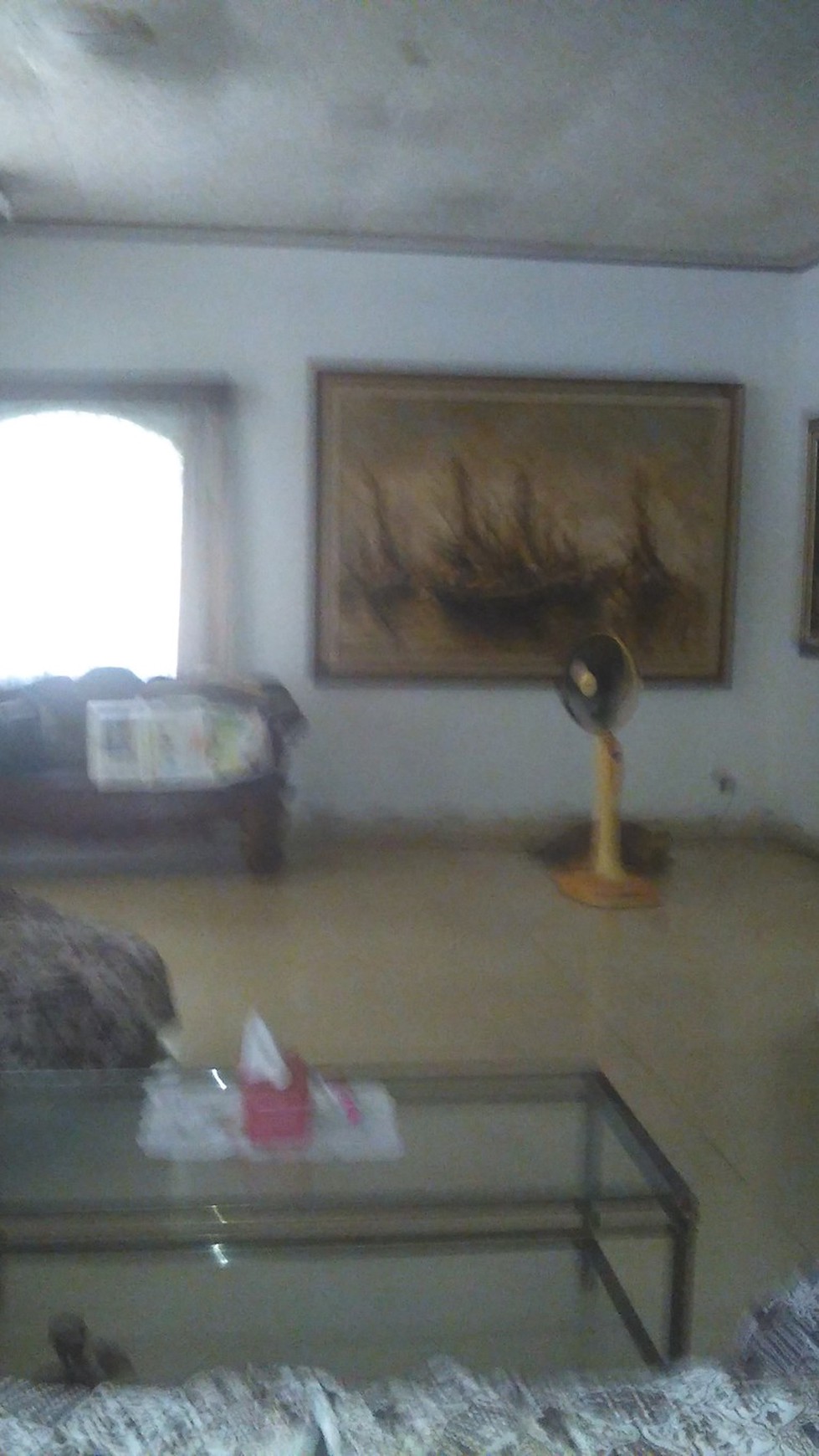 rumah dengan halaman luas