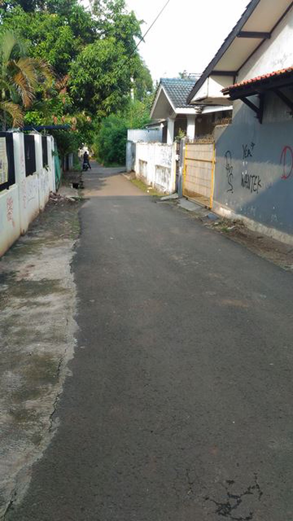 Rumah Luas 498m hanya 3.5M cocok utk Home industri/Keluarga besar
