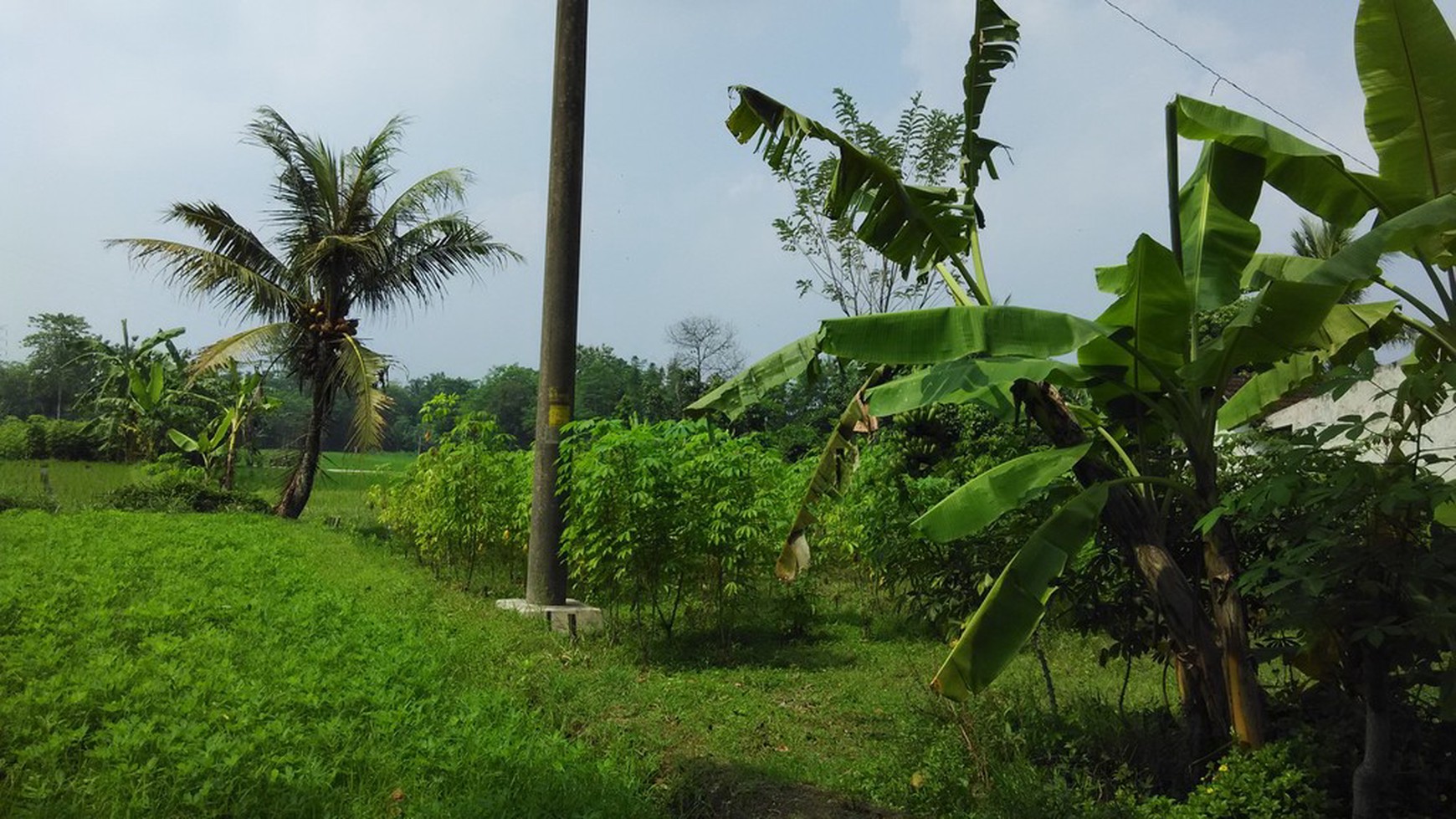 TANAH PINGGIR JALAN TURI, SLEMAN, YOGYAKARTA