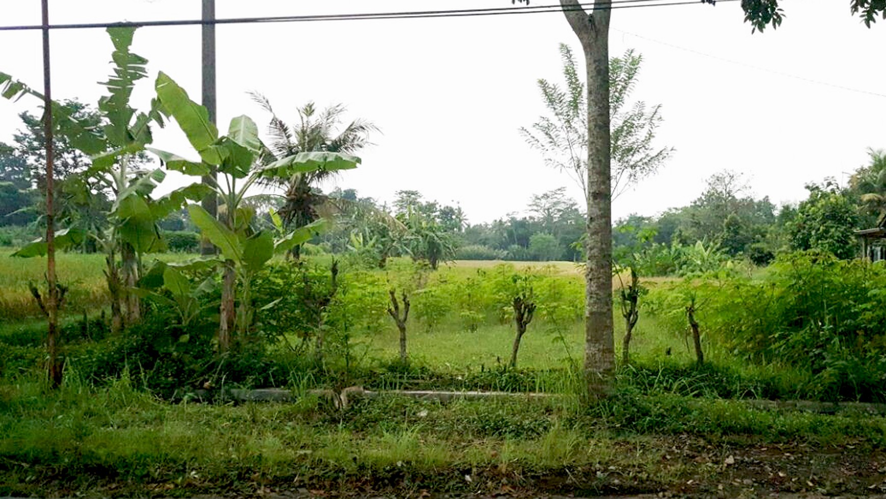 TANAH PINGGIR JALAN TURI, SLEMAN, YOGYAKARTA